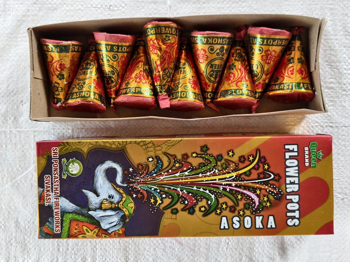 Flowers Pots Asoka