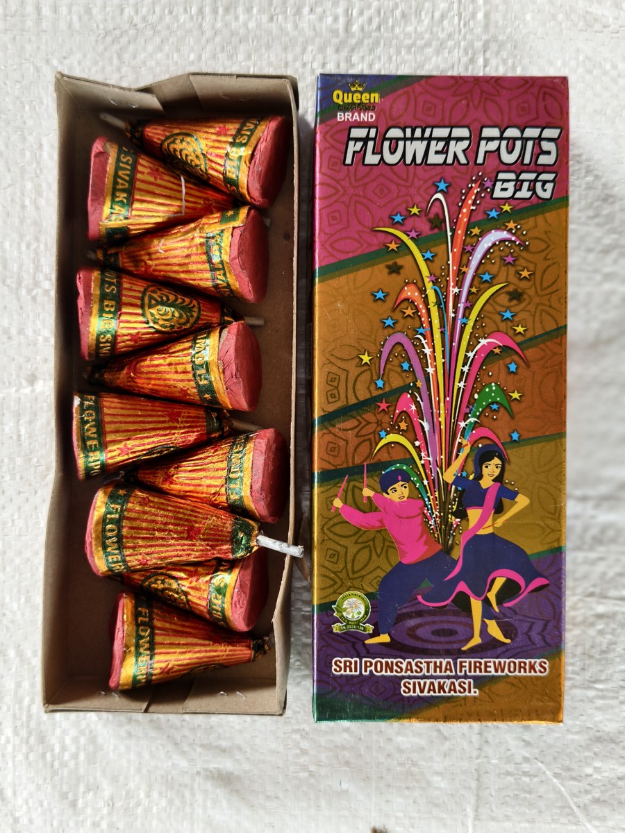 Flowers Pots Big